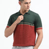 Knitted Polo T Shirt (B.Green and Terra Cotta)